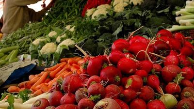 Kışlık sebzede yeni dönem