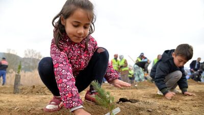 Fidan nasıl dikilir?