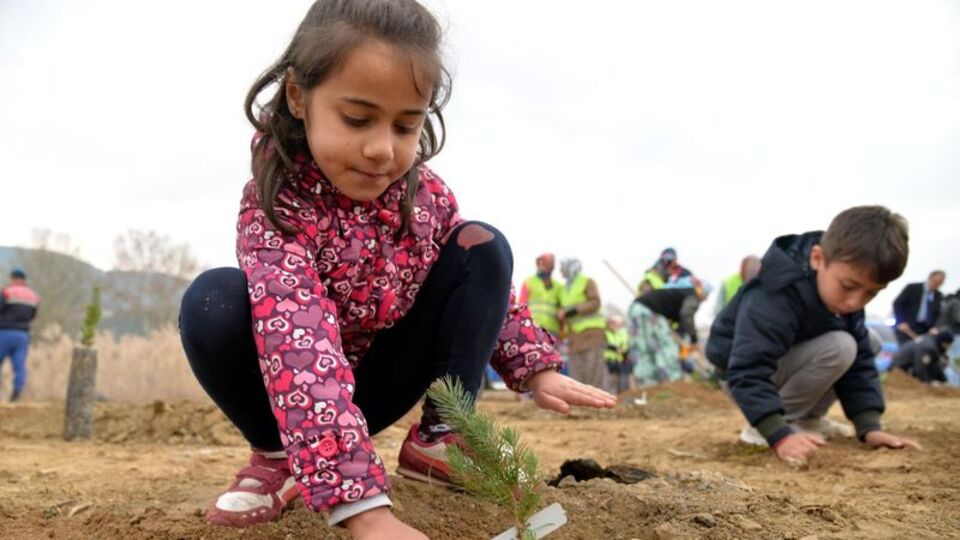 Fidan nasıl dikilir?
