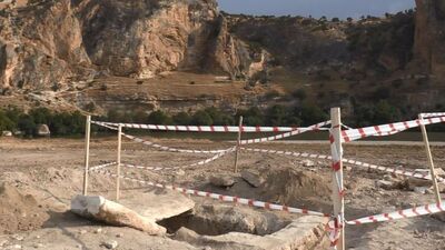 Fidan dikme kampanyasında bulundu