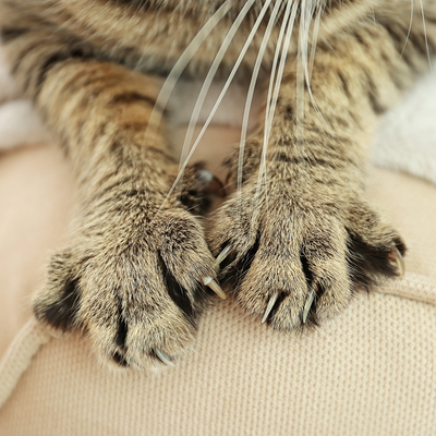 Kolundaki o çizik hayatını kabusa çevirdi!