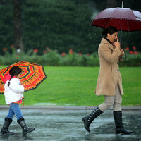 4 il yağmurlu, 77 il güneşli!