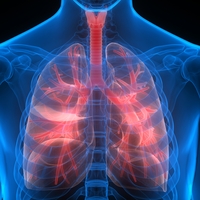 Sahtesi de gerçeği de öldürüyor!