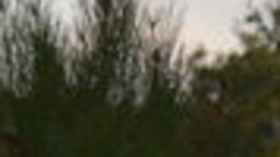 Kırşehir'de gölette bir erkeğin cansız bedeni bulundu