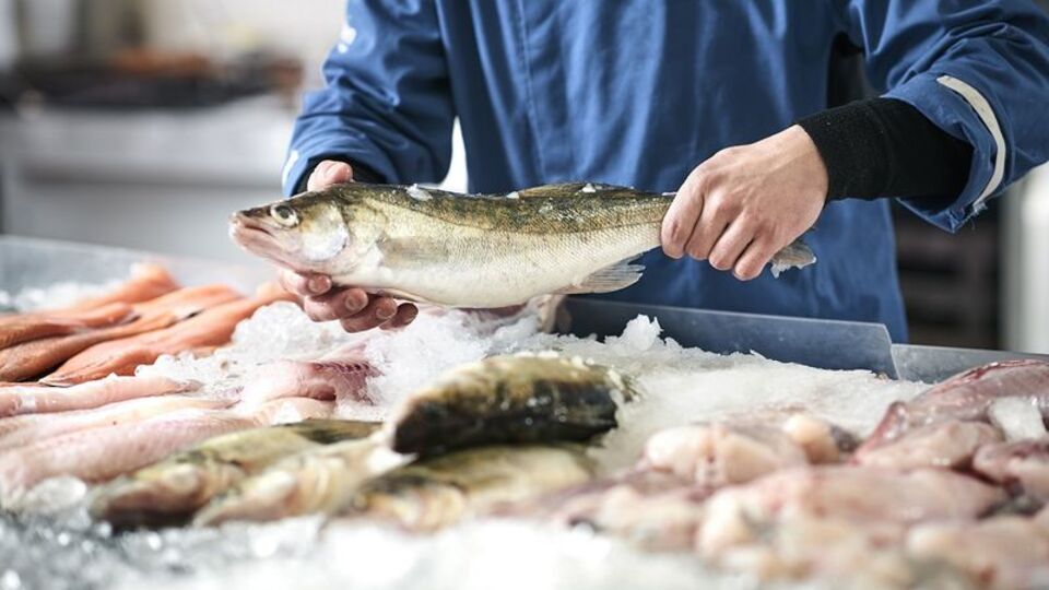 Rüyada balık görmek ne anlama gelir?