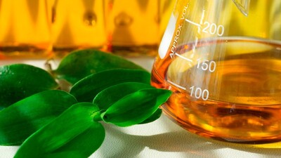 Üretimi rekora koşuyor!