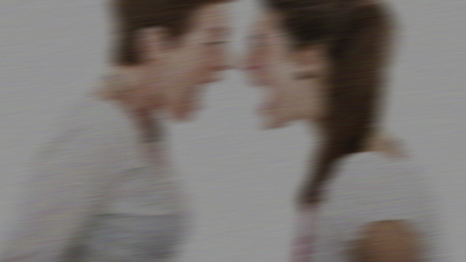 Gelin kaynana kavgasını mahkeme bitirdi