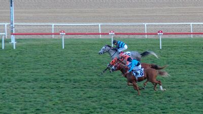 Rüyada at görmek ne anlama gelir?