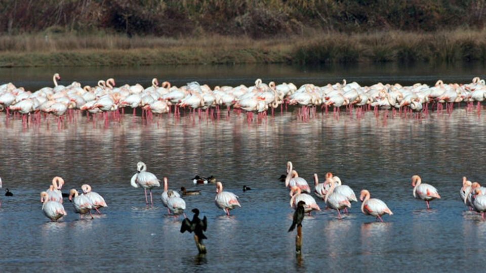 Hersek Lagünü ziyaretçilerini ağırlamaya başladı