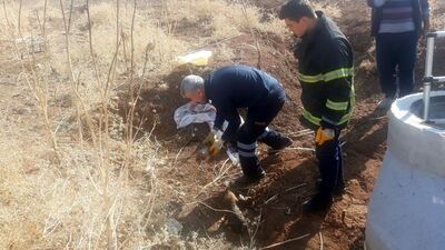Vicdansızlar! Foseptiğe attılar
