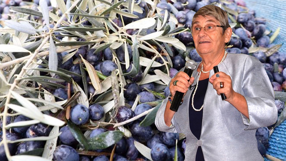 Karatay: Altından daha kıymetli