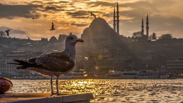 Meteoroloji uyardı! Sıcaklık azalıyor! İşte yurtta hava!