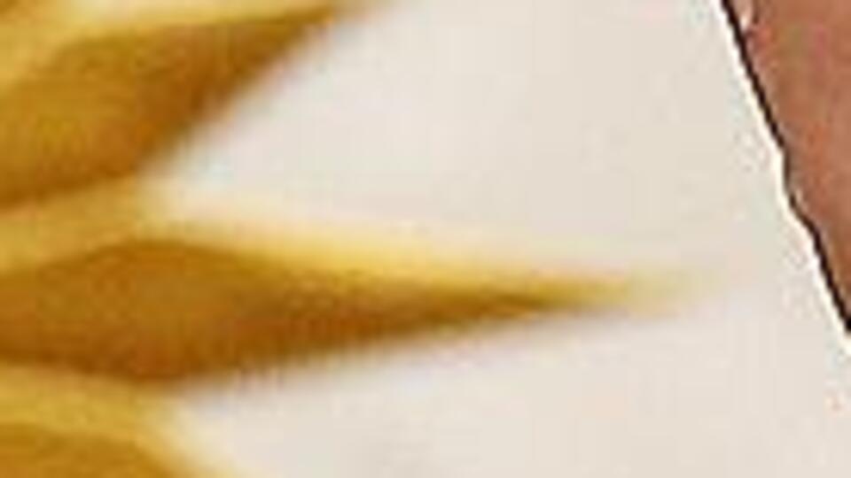 Erdoğan'dan, 'Yıldız Kenter' mesajı