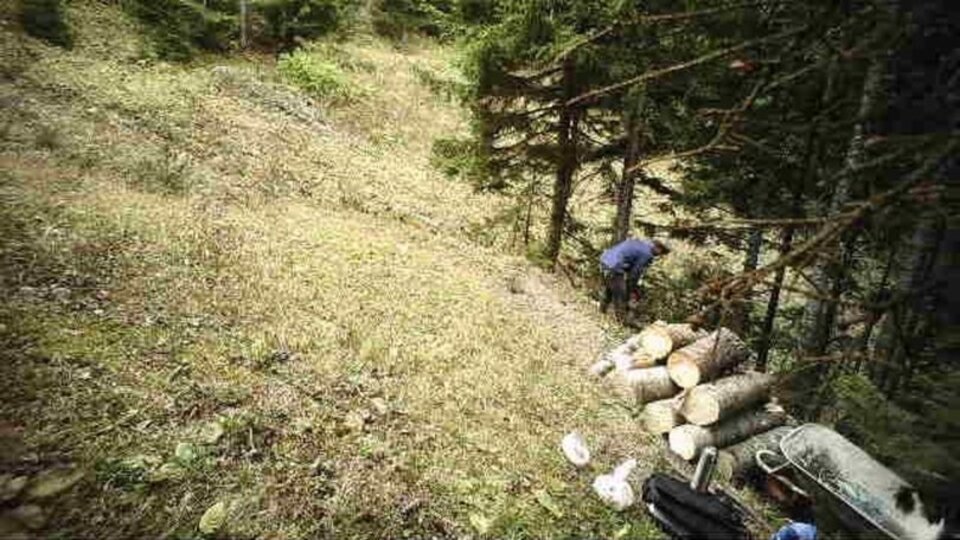 Bu poz başını fena yaktı! Teröristler aranırken...
