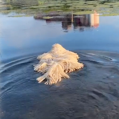 Hareket edince gerçek anlaşılıyor!