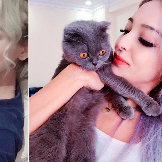 Sevgilisi vahşice 4 kedisini katletti!