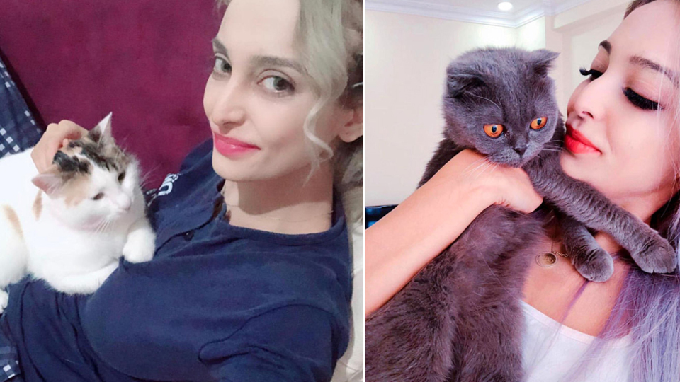 Sevgilisi vahşice 4 kedisini katletti!