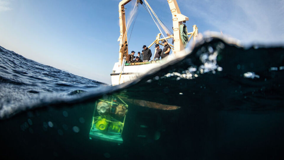 "Tsunami tehlikesi var"