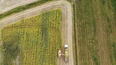 Gıda üretimine "sözleşme" güvencesi