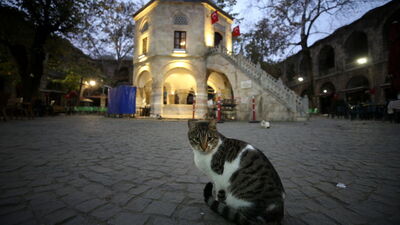 İpek Yolu'nun son durağı