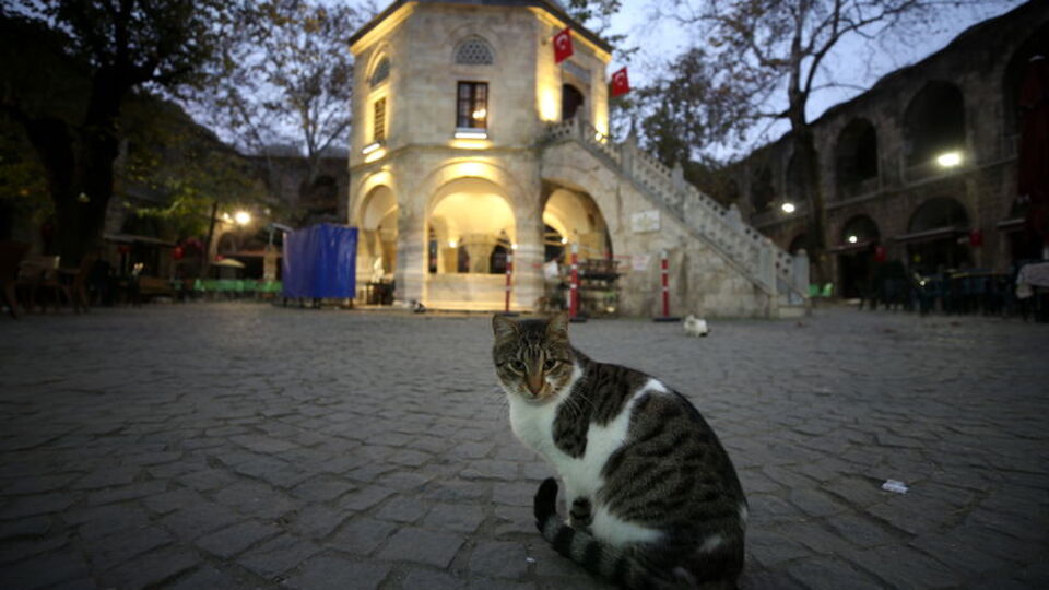 İpek Yolu'nun son durağı