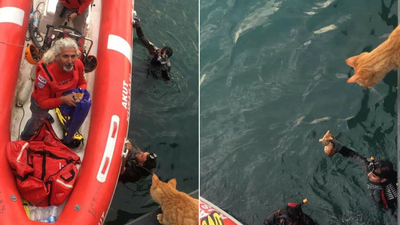 AFAD kurtardı! Annesi bekledi!