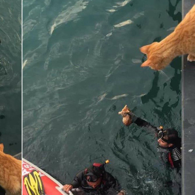 AFAD kurtardı! Annesi bekledi!