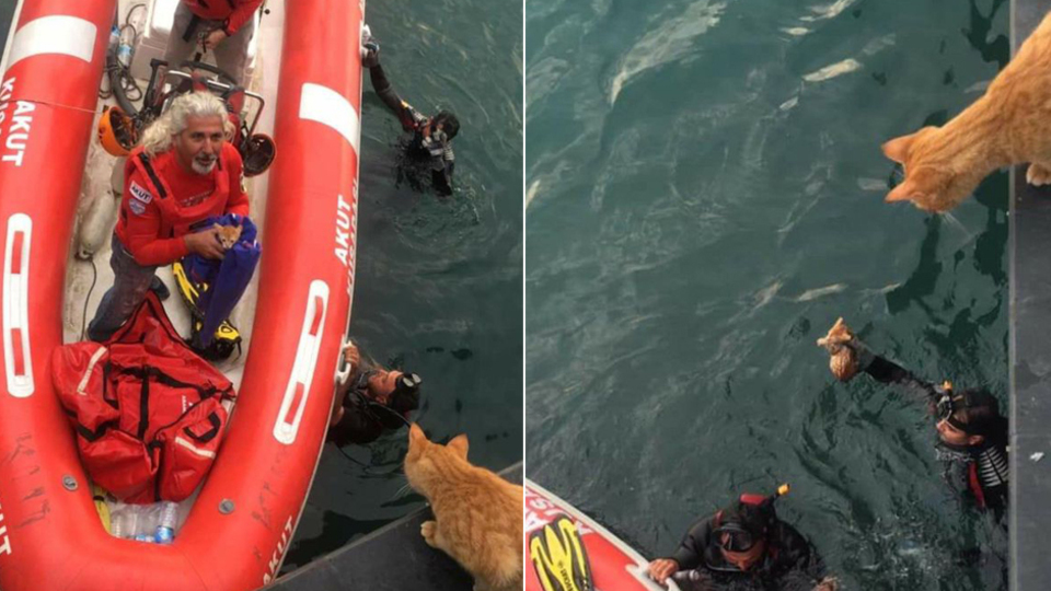 AFAD kurtardı! Annesi bekledi!