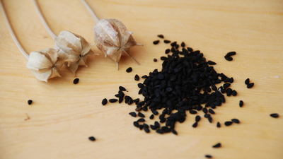 Çörek otunun faydaları nelerdir?