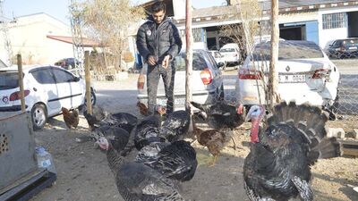 Kesmek için 2 tane aldı! Hayatı değişti!