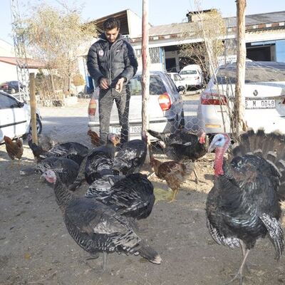 Kesmek için 2 tane aldı! Hayatı değişti!