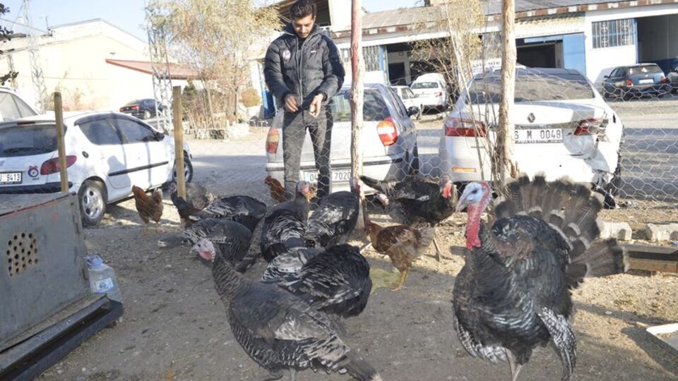 Kesmek için 2 tane aldı! Hayatı değişti!