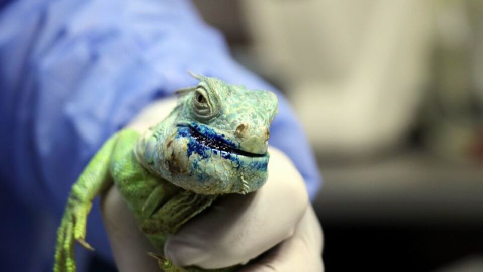 Hayata böyle döndürüldü