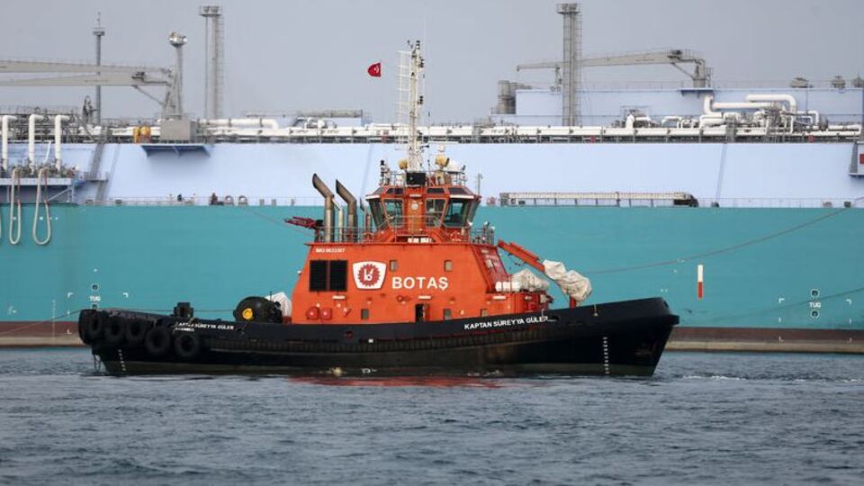 Mısır'dan Türkiye'ye gaz yoklaması