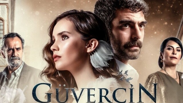 Güvercin oyuncuları kimler?