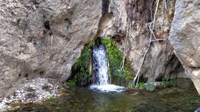 Doğa harikası! Suyu 29 derece akıyor
