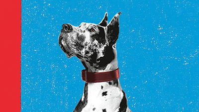 Ödüllü 'Dost' kitapçılarda