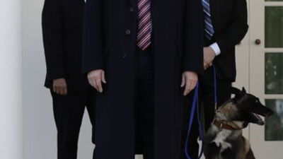 Trump'tan Bağdadi operasyonunda görevli köpeğe plaket ve madalya