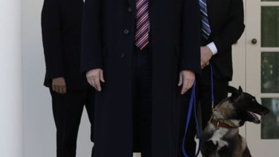 Trump'tan Bağdadi operasyonunda görevli köpeğe plaket ve madalya