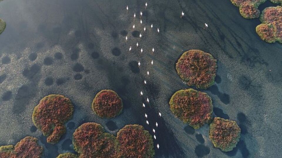 Gediz Deltası için karar!