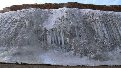 Türkiye'de bir ilk!