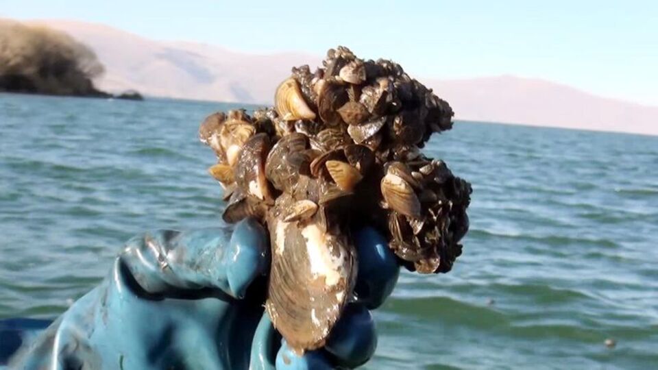 Şimdi de o göl işgal altında!