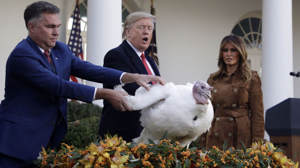Trump'tan Şükran Günü için iki hindiye af