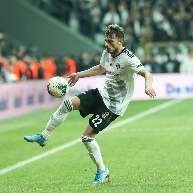Ljajic'e izin yok!