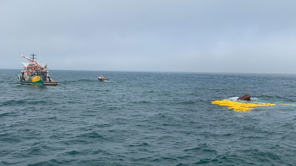 Moritanya'da Türk balıkçı teknesi battı