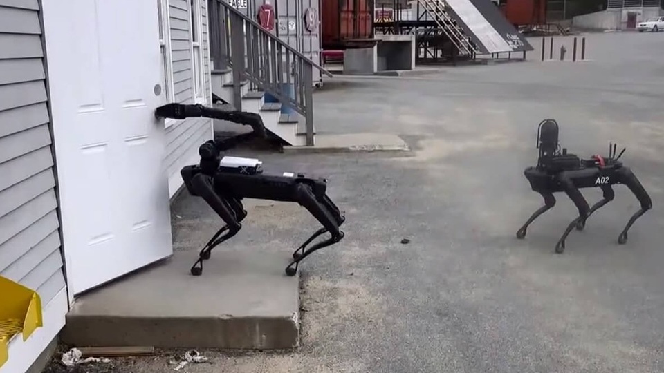 Robot K-9'lar görevde