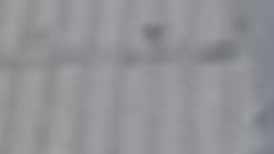 Yürürken gördü! 3 kere öptü!