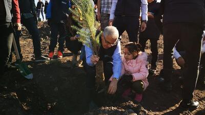 Limak Bursa'da fidan dikti