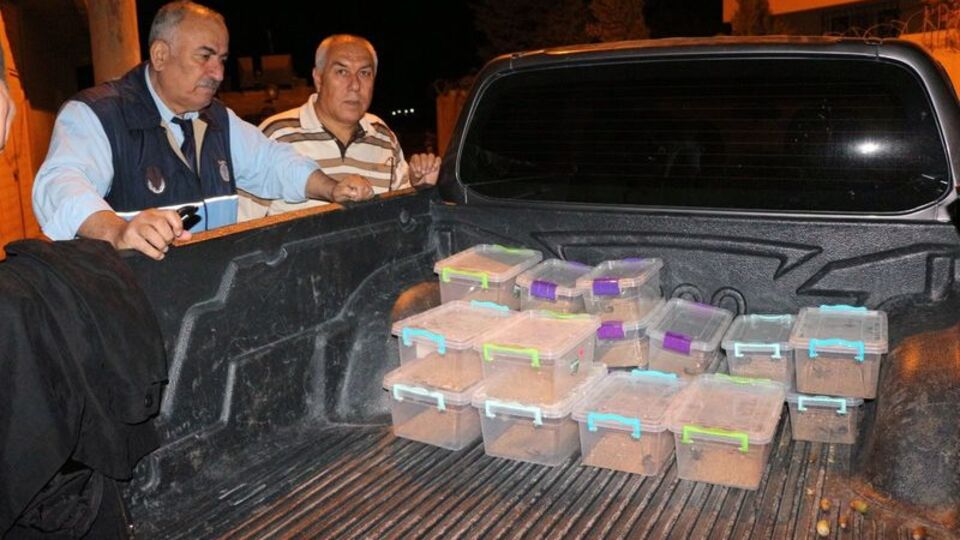 Litresi 10 milyon dolar! Cezası 60 bin TL!