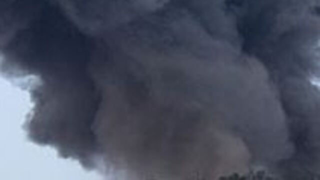 Yemen'de 12 Husi milis öldürüldü